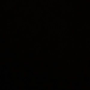 Meet your Posher, Irene